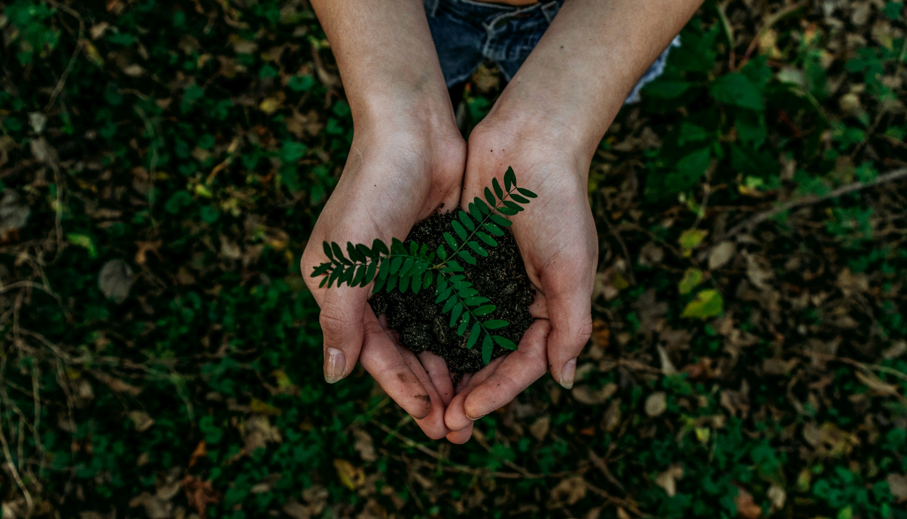 /posts/20240915-plantation-drive/featured-image.jpg /posts/20240915-plantation-drive/featured-image.jpg